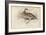 The Virginian Quail-Julius Stewart-Framed Giclee Print