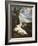 The Vision of Saint Bruno-Pier Francesco Mola-Framed Giclee Print