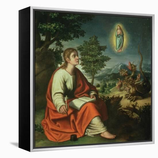 The Vision of St. John the Evangelist on Patmos-Juan Sanchez Cotan-Framed Premier Image Canvas