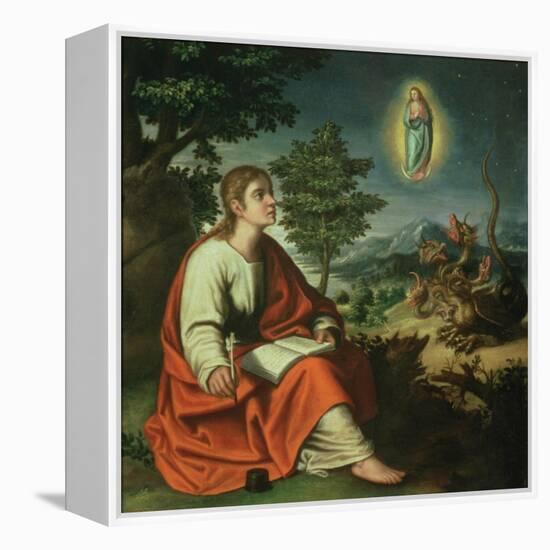 The Vision of St. John the Evangelist on Patmos-Juan Sanchez Cotan-Framed Premier Image Canvas