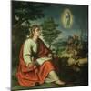 The Vision of St. John the Evangelist on Patmos-Juan Sanchez Cotan-Mounted Giclee Print