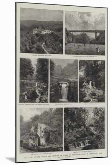 The Visit of the Prince and Princess of Wales to Newcastle, Views in Armstrong Park and at Cragside-null-Mounted Giclee Print