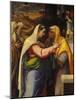 The Visitation, 1519-21-Sebastien Bourdon-Mounted Giclee Print