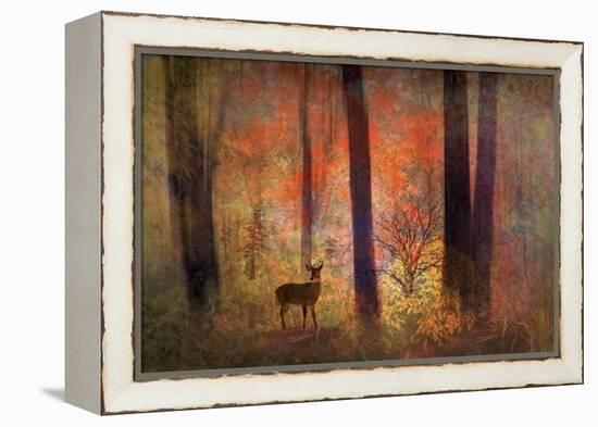 The Visitor-Jessica Jenney-Framed Premier Image Canvas