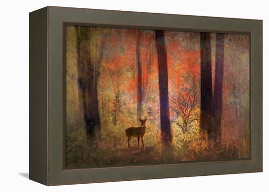 The Visitor-Jessica Jenney-Framed Premier Image Canvas