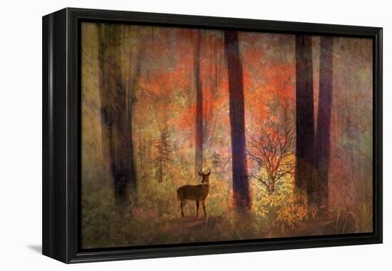 The Visitor-Jessica Jenney-Framed Premier Image Canvas