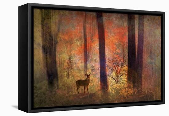 The Visitor-Jessica Jenney-Framed Premier Image Canvas