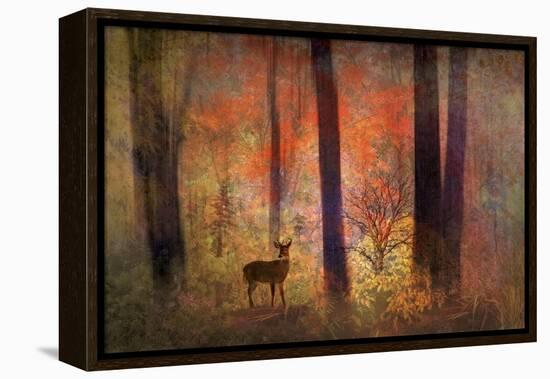 The Visitor-Jessica Jenney-Framed Premier Image Canvas