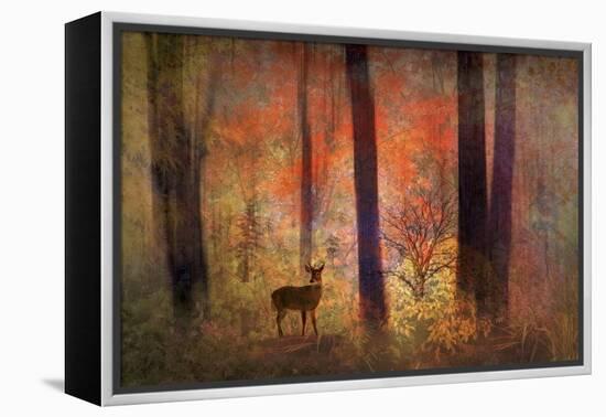 The Visitor-Jessica Jenney-Framed Premier Image Canvas