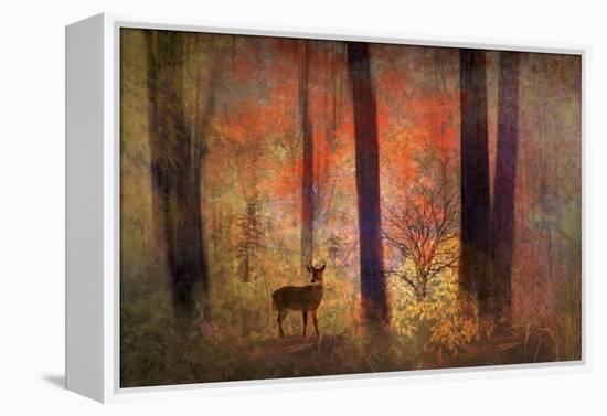 The Visitor-Jessica Jenney-Framed Premier Image Canvas