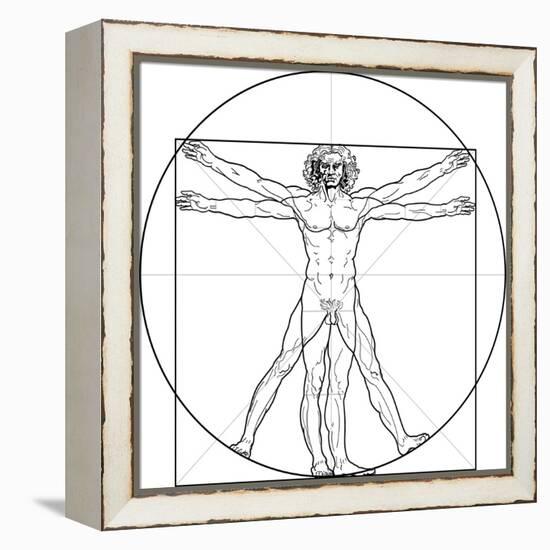 The Vitruvian Man, or Leonardo's Man-Green Ocean-Framed Stretched Canvas