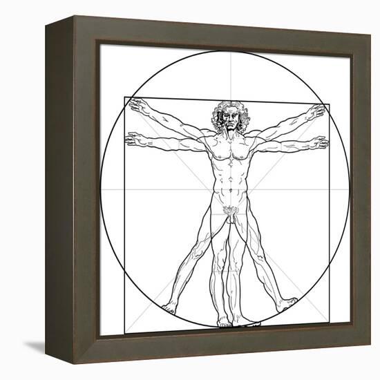 The Vitruvian Man, or Leonardo's Man-Green Ocean-Framed Stretched Canvas