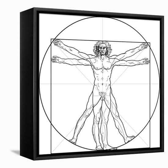 The Vitruvian Man, or Leonardo's Man-Green Ocean-Framed Stretched Canvas