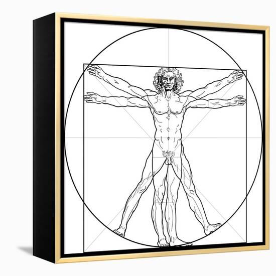 The Vitruvian Man, or Leonardo's Man-Green Ocean-Framed Stretched Canvas