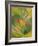 The Vortex of Life-Giacomo Balla-Framed Giclee Print