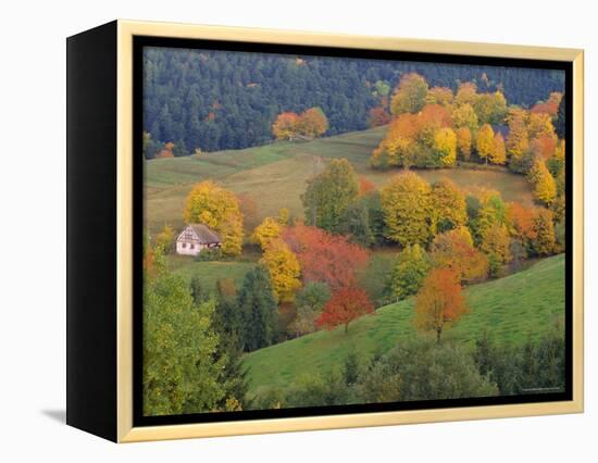 The Vosges, Alsace-Lorraine, France, Europe-John Miller-Framed Premier Image Canvas