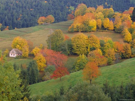 The Vosges Alsace Lorraine France Europe Photographic Print By John Miller Artcom - 