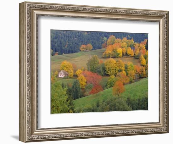 The Vosges, Alsace-Lorraine, France, Europe-John Miller-Framed Photographic Print