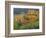 The Vosges, Alsace-Lorraine, France, Europe-John Miller-Framed Photographic Print