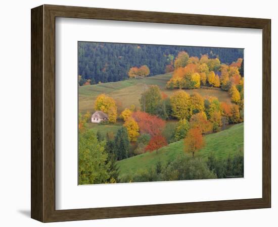 The Vosges, Alsace-Lorraine, France, Europe-John Miller-Framed Photographic Print