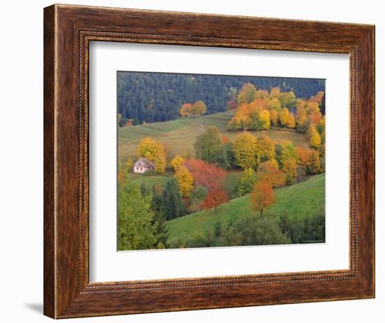 The Vosges, Alsace-Lorraine, France, Europe-John Miller-Framed Photographic Print