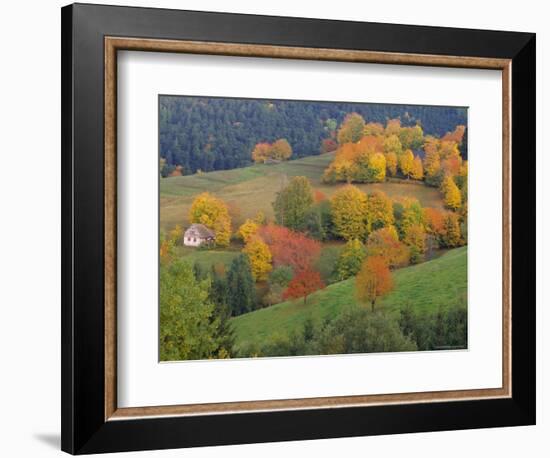 The Vosges, Alsace-Lorraine, France, Europe-John Miller-Framed Photographic Print