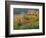 The Vosges, Alsace-Lorraine, France, Europe-John Miller-Framed Photographic Print