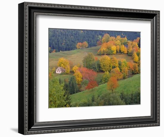The Vosges, Alsace-Lorraine, France, Europe-John Miller-Framed Photographic Print