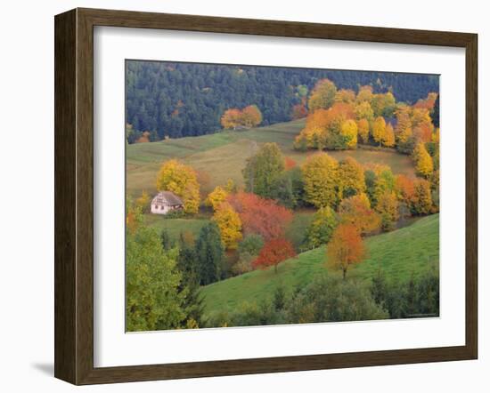 The Vosges, Alsace-Lorraine, France, Europe-John Miller-Framed Photographic Print