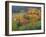 The Vosges, Alsace-Lorraine, France, Europe-John Miller-Framed Photographic Print