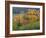 The Vosges, Alsace-Lorraine, France, Europe-John Miller-Framed Photographic Print