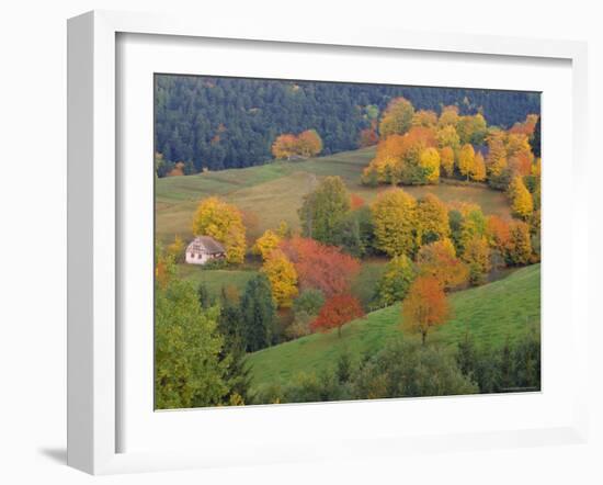 The Vosges, Alsace-Lorraine, France, Europe-John Miller-Framed Photographic Print