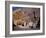 The Wailing Wall, Jerusalem, Israel-Carl Werner-Framed Giclee Print