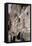 The Wailing Wall-Gustav Bauernfeind-Framed Premier Image Canvas