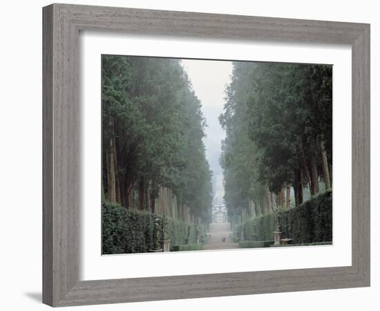 The Walk in the Boboli Gardens Know as the "Viottolone"-null-Framed Photographic Print