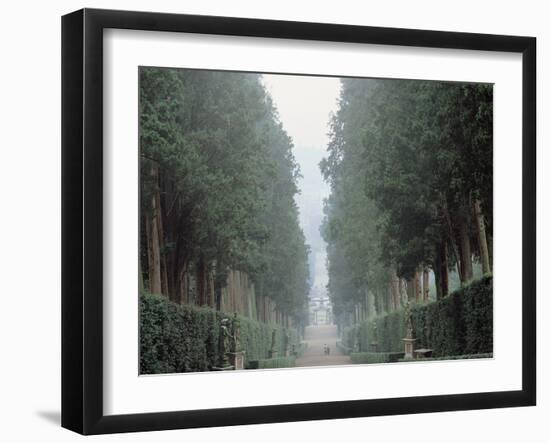 The Walk in the Boboli Gardens Know as the "Viottolone"-null-Framed Photographic Print