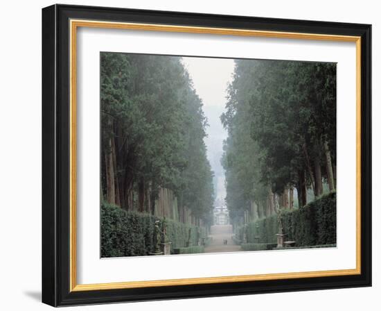 The Walk in the Boboli Gardens Know as the "Viottolone"-null-Framed Photographic Print