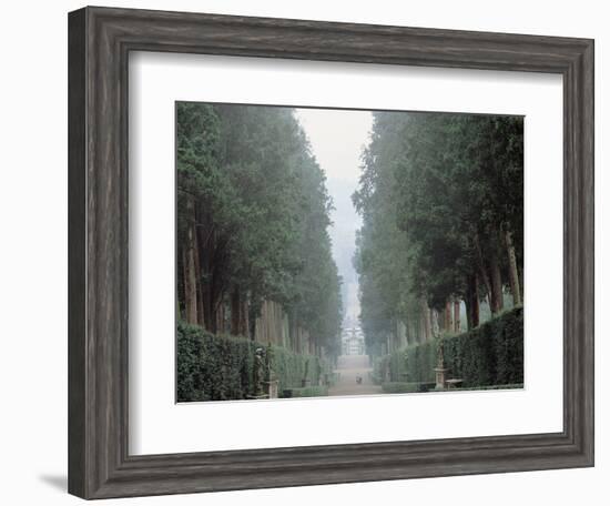 The Walk in the Boboli Gardens Know as the "Viottolone"-null-Framed Photographic Print