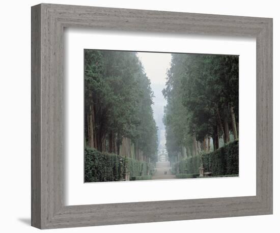 The Walk in the Boboli Gardens Know as the "Viottolone"-null-Framed Photographic Print