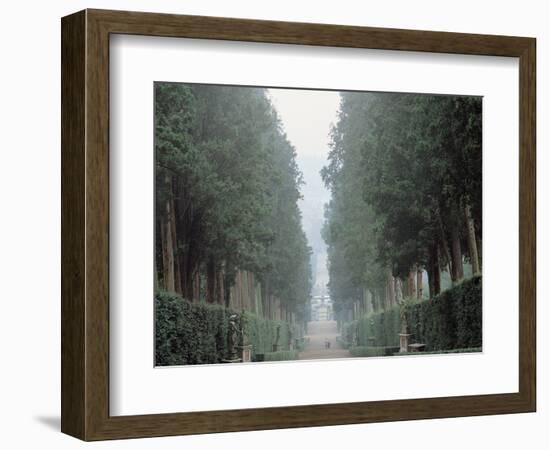 The Walk in the Boboli Gardens Know as the "Viottolone"-null-Framed Photographic Print