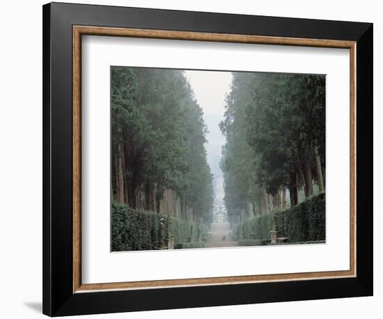 The Walk in the Boboli Gardens Know as the "Viottolone"-null-Framed Photographic Print