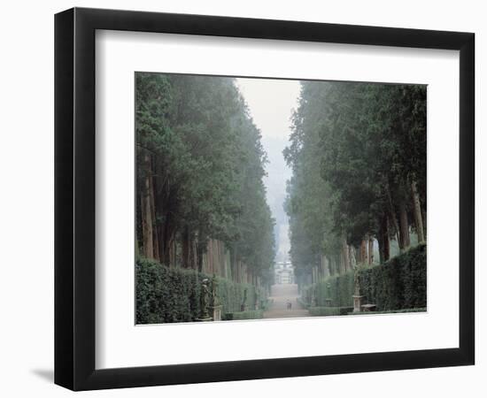 The Walk in the Boboli Gardens Know as the "Viottolone"-null-Framed Photographic Print