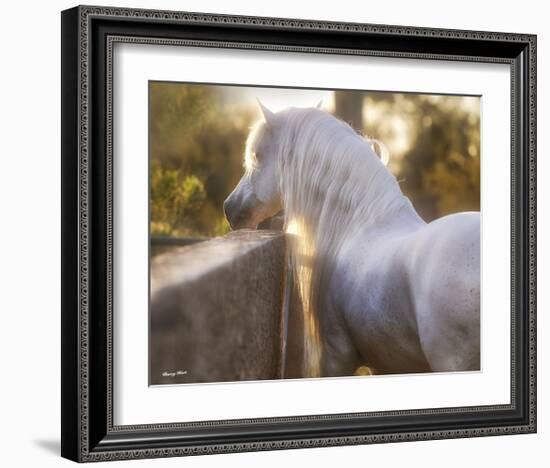 The Wall-Barry Hart-Framed Art Print