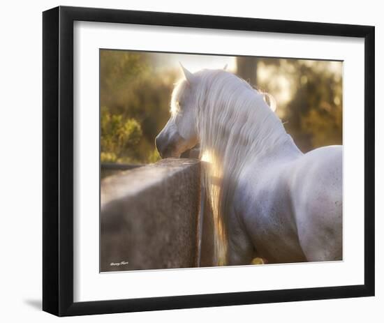 The Wall-Barry Hart-Framed Art Print