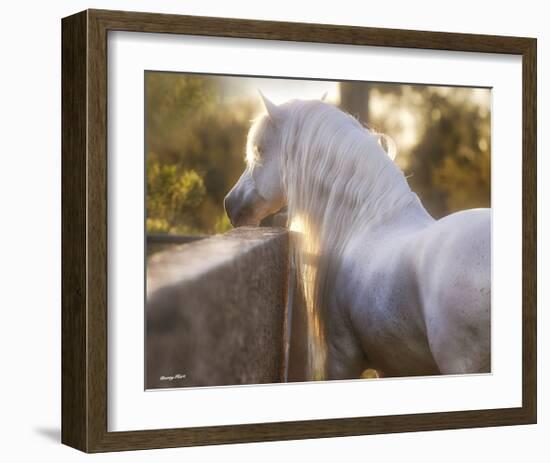 The Wall-Barry Hart-Framed Art Print