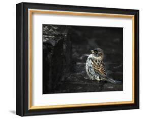 The Wall-Holger Droste-Framed Photographic Print