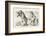 The Walrus and the Carpenter the Walrus Eats the Last Oyster-John Tenniel-Framed Photographic Print