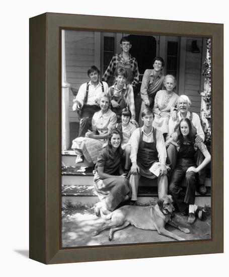 The Waltons (1972)-null-Framed Stretched Canvas