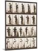 The Waltz-Eadweard Muybridge-Mounted Giclee Print