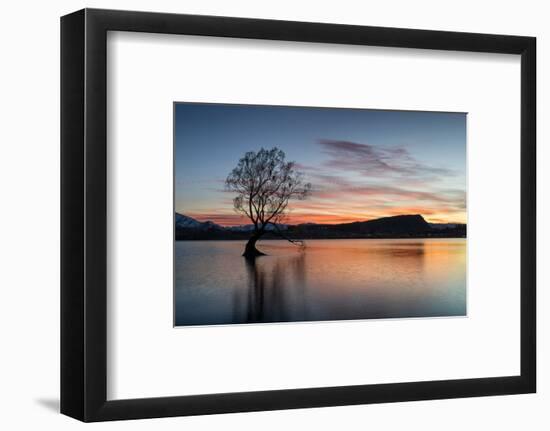 The Wanaka Tree with dramatic sky at sunrise, Lake Wanaka, Otago, South Island, New Zealand-Ed Rhodes-Framed Photographic Print